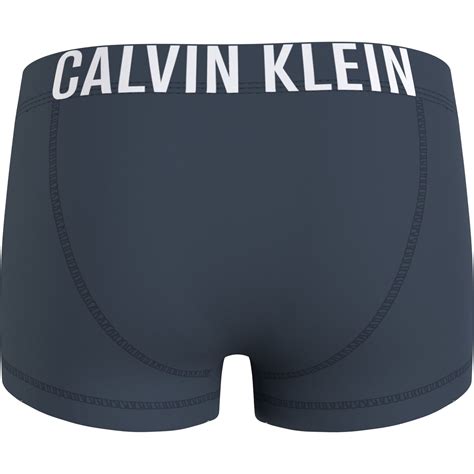 Calvin Klein Calvin Klein 2 Pack Boxer Shorts Trunks