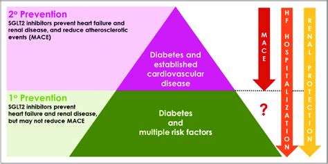 Cardiorenal Benefits Of Sodium Glucose Cotransporter 2 Inhibitors In