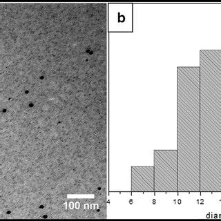 Visualization Of Interaction Between Agnp And M Furfur Cbs By