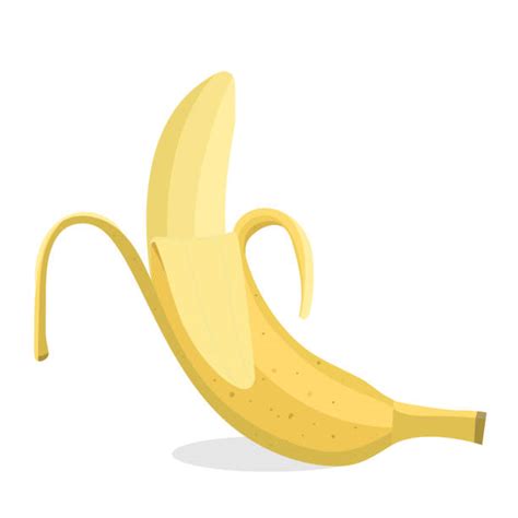 Big Yellow Fruit Clip Art Illustrations Royalty Free Vector Graphics