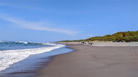 Premium Photo | Waves and white foam on the beautiful coast