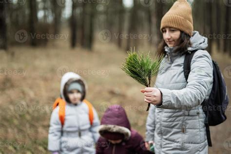 Page 2 | Kids Forest Discovery Stock Photos, Images and Backgrounds for ...