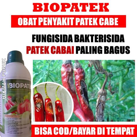 Jual Biopatek Obat Bercak Daun Dan Busuk Buah Busuk Akar Daun Dan