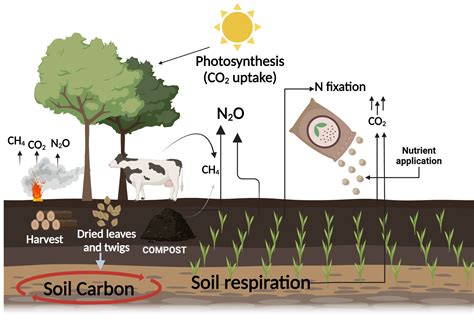 Green House Gas Emission In Agriculture Biorender Science Templates