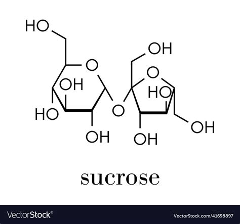 Sucrose sugar molecule also known as table sugar Vector Image