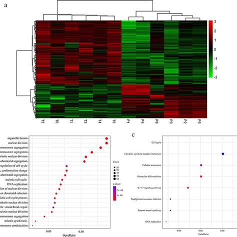 Differentially Expressed Mrna In Diffuse Gastric Cancer A Heatmap