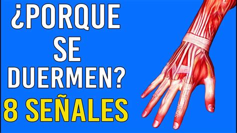 Por Qué Se Te Duerme La Mano 8 Señales De Entumecimiento De Manos YouTube