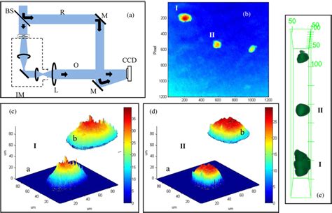 A Schematic Of The Off Axis Digital Holographic Microscopy DHM