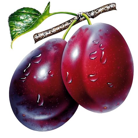 Plum Png Image Transparent Image Download Size 1000x1003px