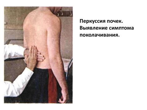 Исследование больных с заболеваниями почек. Основные клинические ...