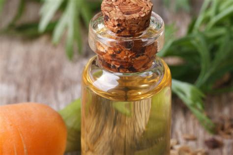 How To Strengthen Your Hair With Carrot Oil Natural Oils For Hair