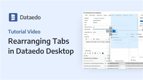 Dataedo Tutorial Rearranging Tabs In Dataedo Desktop YouTube