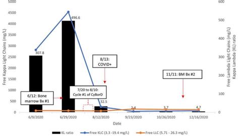 What Causes Elevated Kappa And Lambda Free Light Chains ...
