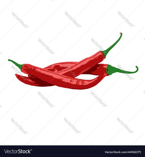 Red Hot Chilli Pepper Design Royalty Free Vector Image