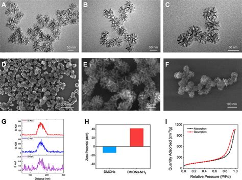 The Morphology And Structure Characterization Of Dmons Ac Tem Images