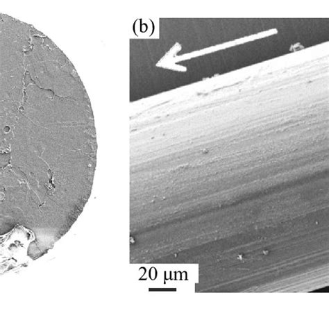 Micrographs Of A Freeze Fracture Cross Section Of An Unoriented Fi