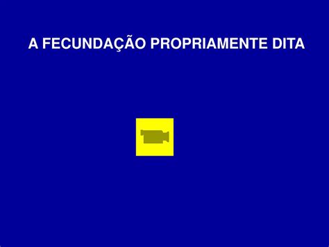 Ppt EmbriogÊnese E OrganizaÇÃo Geral Do Snc Powerpoint Presentation