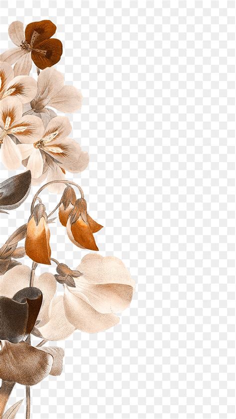 Brown Flower Png Border Transparent Premium PNG Rawpixel