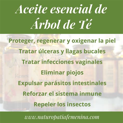 Aceite esencial de Árbol del té En qué casos usarlo