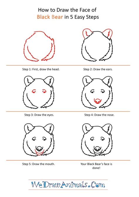 How To Draw A Black Bear Step By Step at Drawing Tutorials