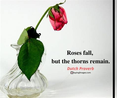 35 Amazing Roses Quotes That Celebrate Life's Beauty - SayingImages.com