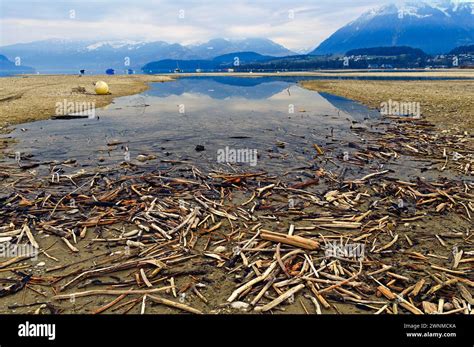 Thunersee Lake Thun In Switserland Stock Photo Alamy