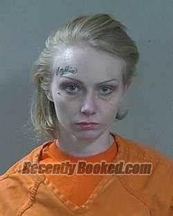 Recent Booking Mugshot For ELEXIS LYNNE RITTER In Canyon County Idaho