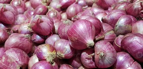 Group Of Shallots Onion Fresh Purple Shallots Or Allium Cepa Close Up