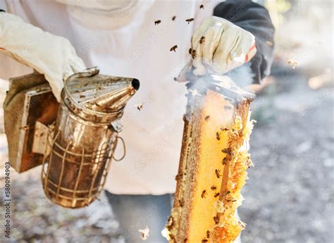 Bee Smoke And Bees Smoker Tools With Hands Holding Honeycomb For