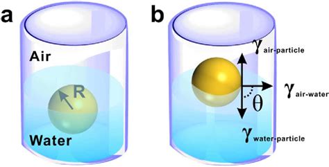 Vertical Segregation In The Self Assembly Of Nanoparticles At The