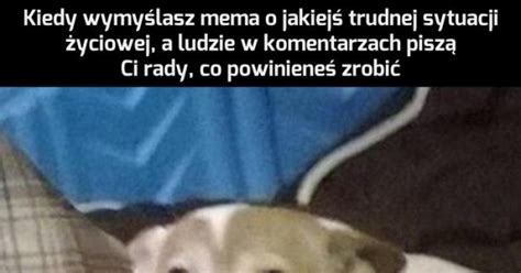 Spokojnie To Tylko Mem Nic Z Ego Mi Si Nie Dzieje Jeja Pl