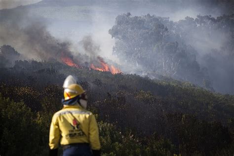 Cape Town fire: Newlands Forest to reopen as firefighters leave ...