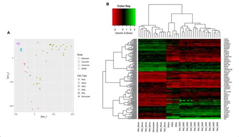 Multidimensional Scaling Analysis MDS And 2D Hierarchical