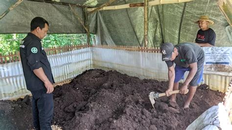 Antisipasi Kelangkaan Petani Di Pati Ini Sulap Kotoran Burung Jadi