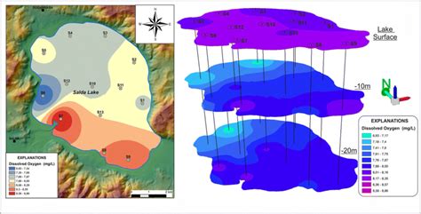 The spatial distribution maps of DO | Download Scientific Diagram