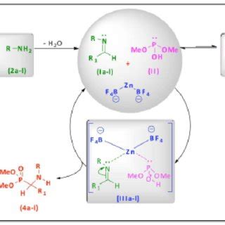 Scheme 2. Plausible mechanism for the synthesis of dimethyl ...