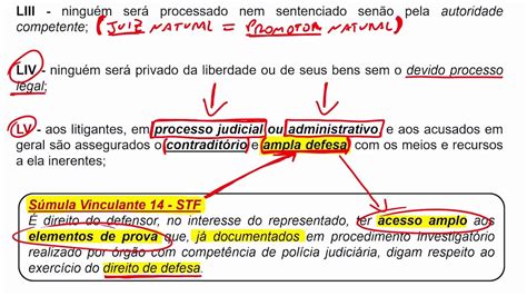 Aula 6 6 Direitos E Deveres Individuais E Coletivos Parte VI DIREITO