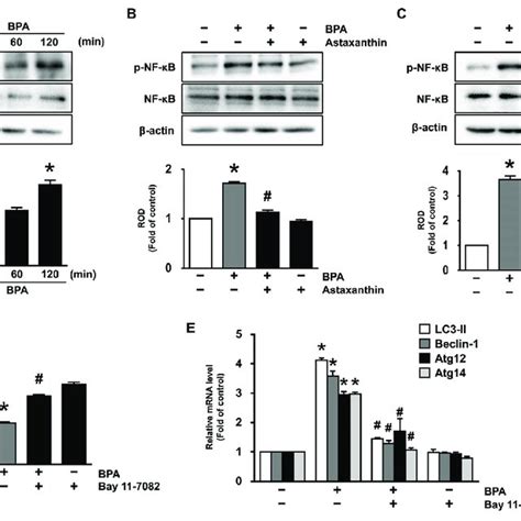 Inhibitory Effects Of Astaxanthin On The Phosphorylation Of Nf κb