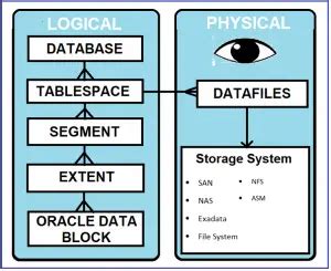 Oracle Database Storage Structures Dot Net Tutorials