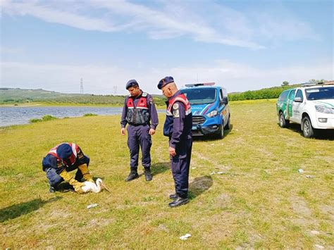 Bursa da yaralı leylek jandarma ekiplerince bulundu Son Dakika