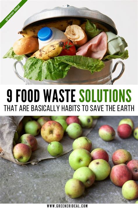 Food Waste The Bad News Is That We Have Created A Real Problem The