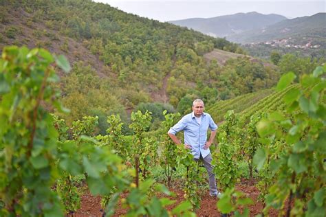 Najbolja Vina I Vinarije Srbije U 2023 Godini Dobro Jutro