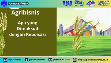 Apa Yang Dimaksud Dengan Reboisasi Artikel