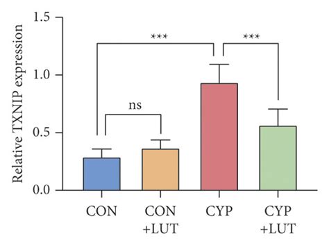 Lut Inhibits The Txnip Nlrp Pathway In Cyp Induced Cystitis A The