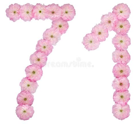 Numeral 71 Setenta Y Uno De Flores Rosadas Naturales De Almendro