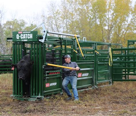 Arrowquip Next Generation Of Cattle Handling And Equipment Agdaily