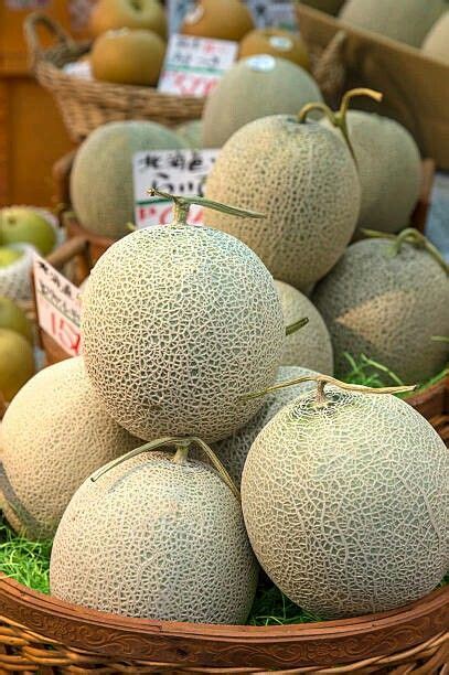 【japanese Biggest Melon Farm】amazing Melon Harvesting Agriculture