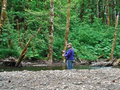 Camping in Oregon | Campgrounds Near the Oregon Coast | Oregon coast ...