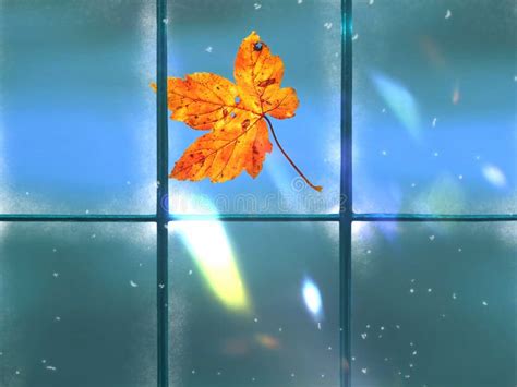 Autumn Leaves Fall On Window Frame Glass Background Rainy Season