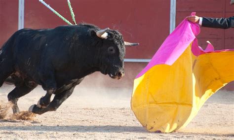 El Supremo Anula La Exclusi N De Los Espect Culos Taurinos Del Bono